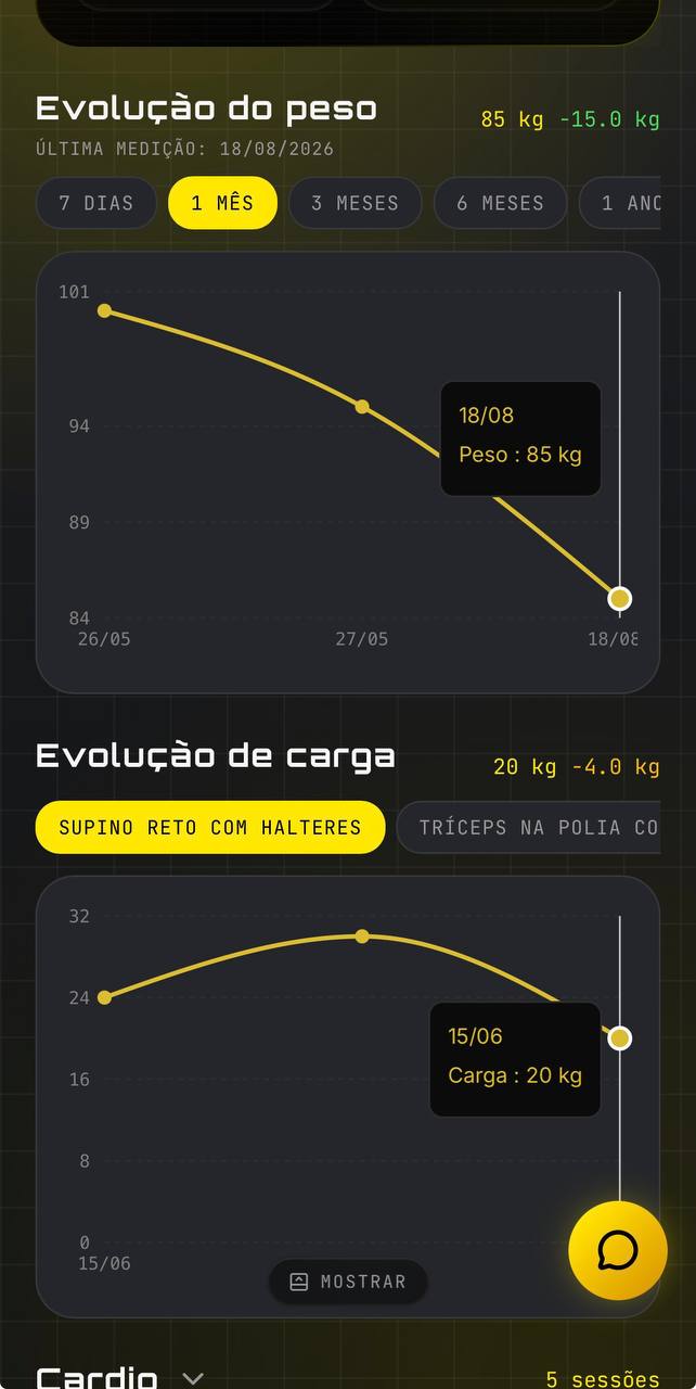 Gráficos de evolução de peso e de carga no app